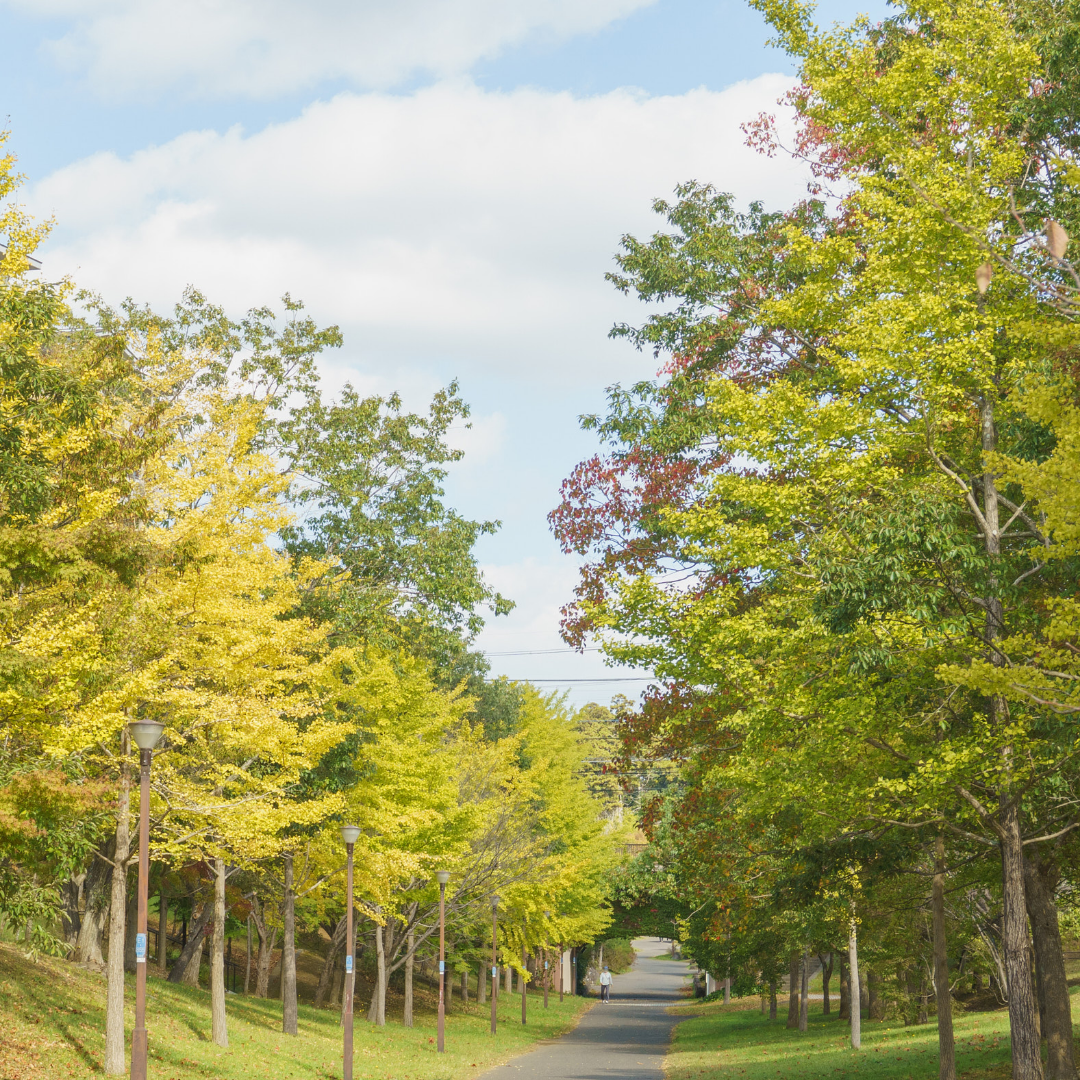 お気に入りの風景